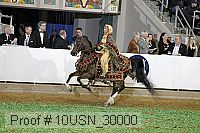 10usn_30000 proof