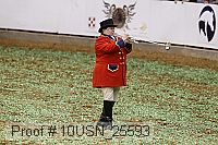 10usn_25593 proof