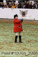 10usn_25595 proof