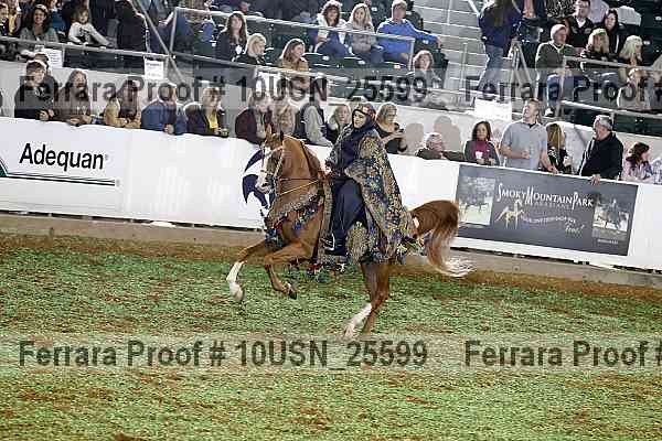 Proof 10usn_25599