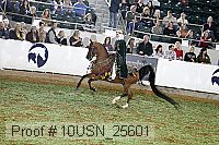 10usn_25601 proof
