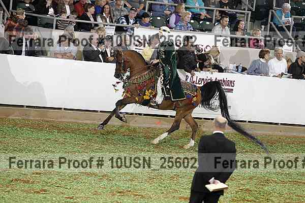 Proof 10usn_25602