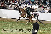 10usn_25602 proof