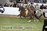 10usn_25603 proof