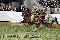 10usn_25604 proof
