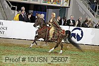 10usn_25607 proof