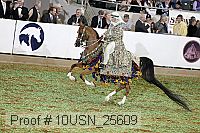 10usn_25609 proof