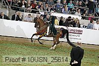 10usn_25614 proof