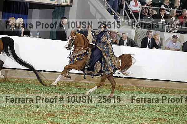 Proof 10usn_25615