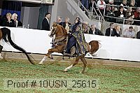 10usn_25615 proof