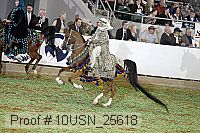 10usn_25618 proof
