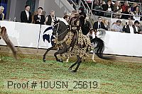 10usn_25619 proof