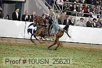 10usn_25620 proof