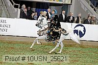 10usn_25621 proof