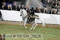 10usn_25626 proof