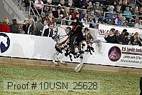 10usn_25628 proof