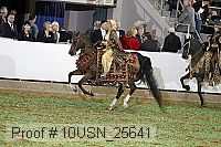 10usn_25641 proof