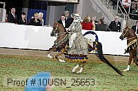 10usn_25653 proof