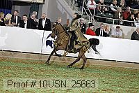 10usn_25663 proof