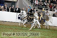 10usn_25666 proof