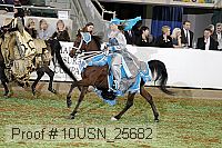 10usn_25682 proof