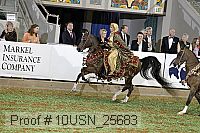 10usn_25683 proof
