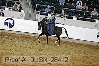 10usn_28412 proof