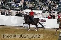 10usn_28421 proof