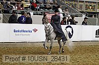 10usn_28431 proof