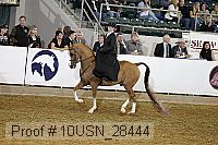10usn_28444 proof