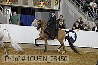 10usn_28450 proof