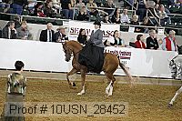 10usn_28452 proof