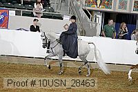 10usn_28463 proof
