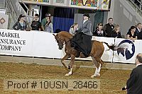 10usn_28466 proof