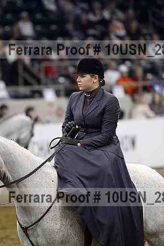 Proof 10usn_28476