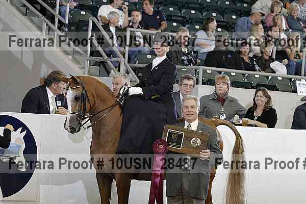 Proof 10usn_28487