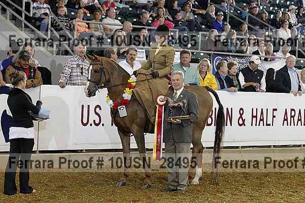Proof 10usn_28495