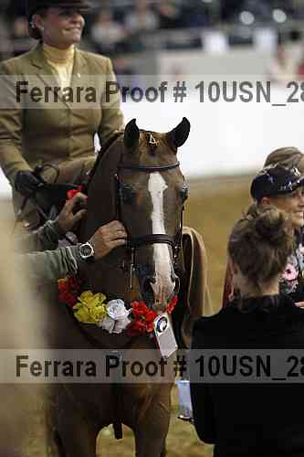 Proof 10usn_28497