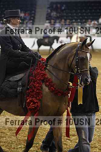 Proof 10usn_28515