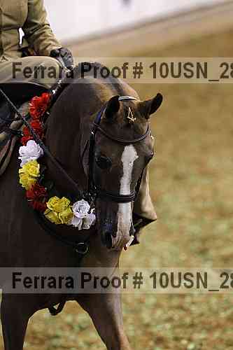 Proof 10usn_28556
