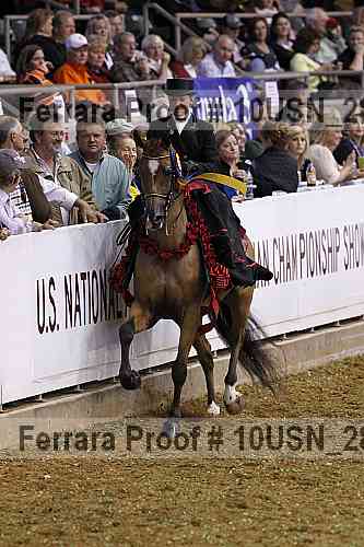 Proof 10usn_28561