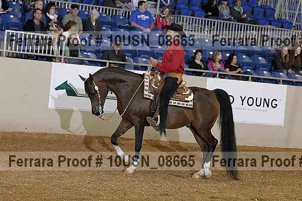 Proof 10usn_08665