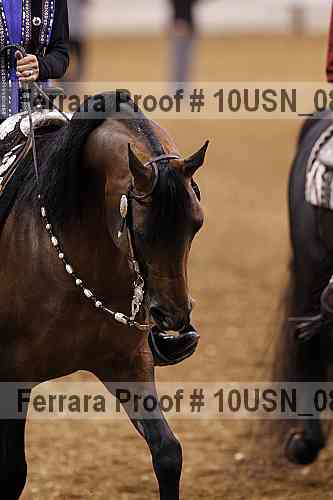 Proof 10usn_08673