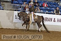 10usn_08700 proof