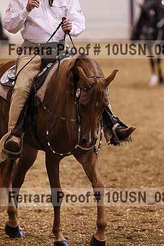 Proof 10usn_08711