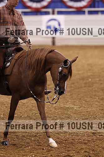 Proof 10usn_08717