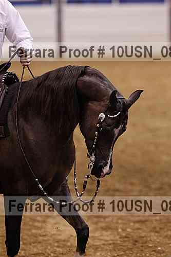 Proof 10usn_08719