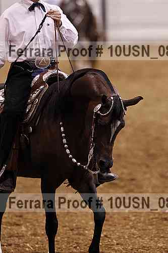 Proof 10usn_08724