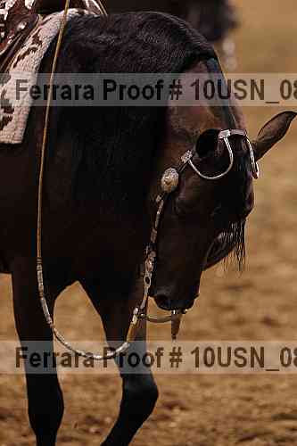 Proof 10usn_08730