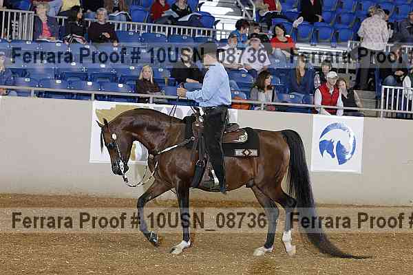 Proof 10usn_08736